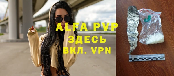 крисы Надым