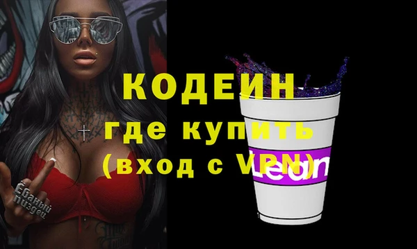 прущие грибы Михайлов