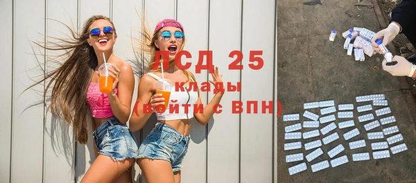 прущие грибы Михайлов