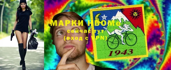 прущие грибы Михайлов