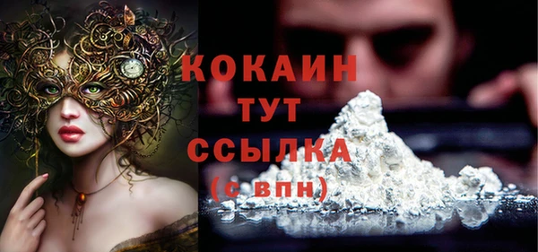 крисы Надым