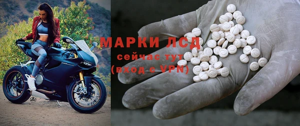 прущие грибы Михайлов