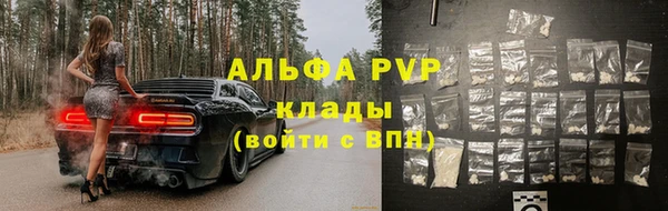 крисы Надым