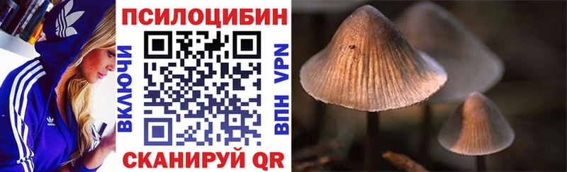 закладки  Киров  mega сайт  Псилоцибиновые грибы ЛСД 