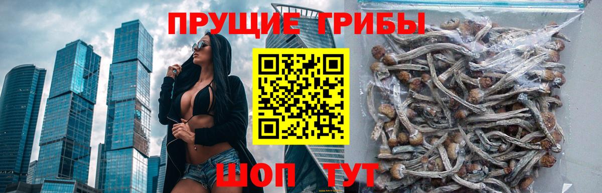 Псилоцибиновые грибы прущие грибы Киров