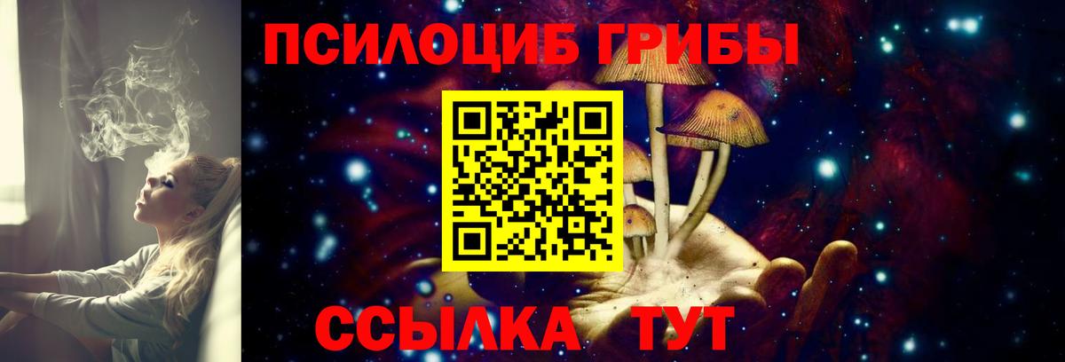 Киров  Галлюциногенные грибы мицелий  Вход с VPN 